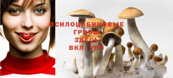mdma Зерноград