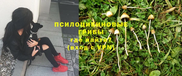 трава Зеленодольск