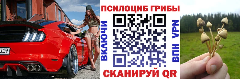 Купить  Великие Луки  Галлюциногенные грибы GOLDEN TEACHER 